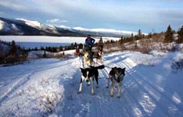 Polarregionen in den Wintermonaten, Kanada: Kanada: Hundeschlittentour - Husky Wildnis - Hundeschlitten am Fish Lake